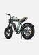 ENGWE M20 Motorcycle-styled Electric Bike