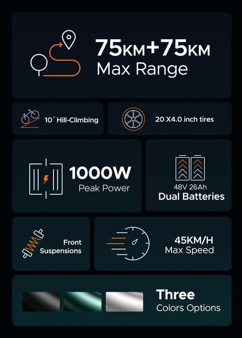 ENGWE M20 Motorcycle-styled Electric Bike