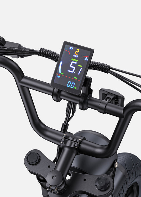ENGWE M1 Motorcycle-styled Electric Bike