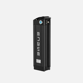 Battery 16Ah for L20