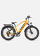 ENGWE E26 Electric Electric Bike