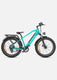 ENGWE E26 Electric Electric Bike