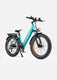 ENGWE E26 Electric Electric Bike