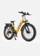 ENGWE E26 Electric Electric Bike