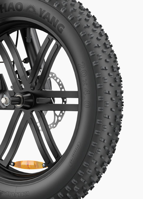 ENGWE L20 Boost Step-Thru Electric Bike
