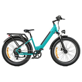 Bici elettrica elettrica E26