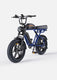 ENGWE M1 Motorcycle-styled Electric Bike