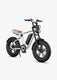 ENGWE M20 Motorcycle-styled Electric Bike