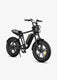 ENGWE M20 Motorcycle-styled Electric Bike