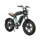 ENGWE M20 E-Bike im Motorrad-Stil
